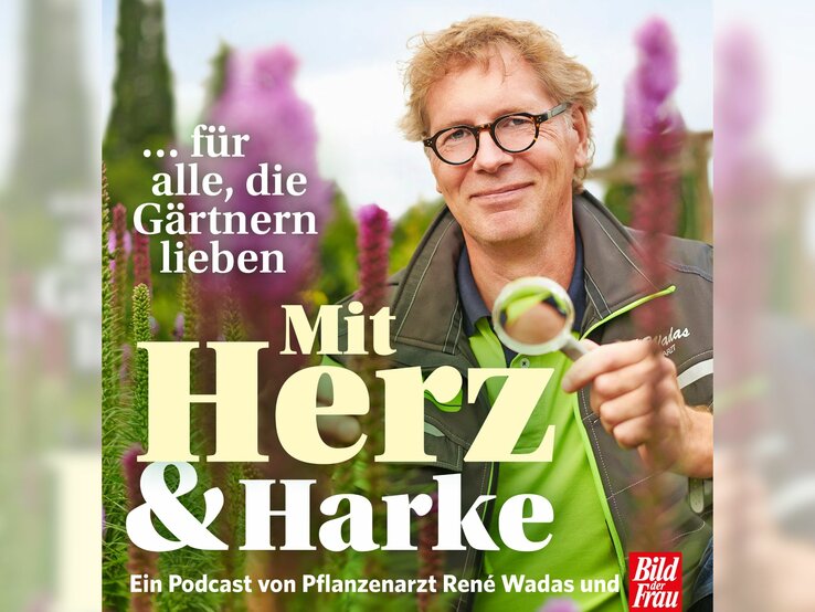 Cover des Gartenpodcasts "Mit Herz & Harke", auf dem ein Mann mit rötlichen Haaren und einer Brille in einem Garten steht und eine Lupe in der Hand hält. 