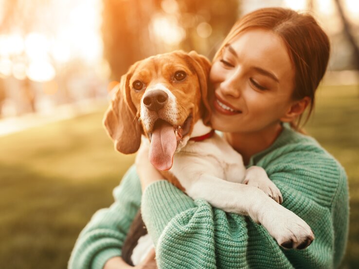 Eine glückliche Frau hält einen Beagle-Hund in ihren Armen. Sie lächeln beide, während der Hund seine Zunge heraushängen lässt. Sie befinden sich in einem sonnendurchfluteten Park.