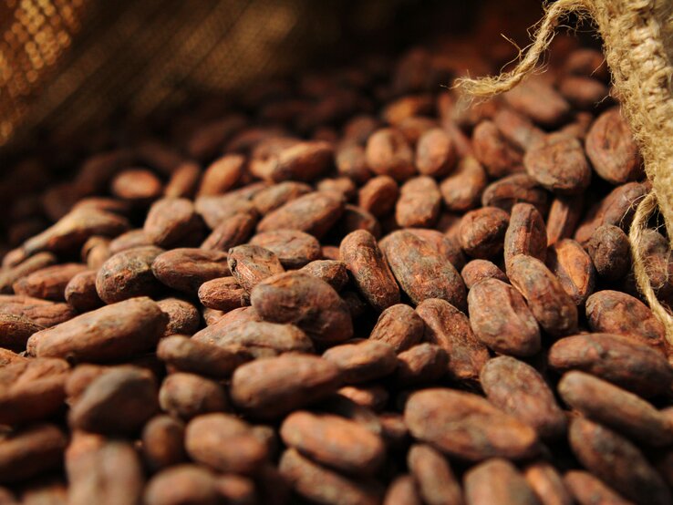 Kakao steckt voller Antioxidantien und erhöht den Serotonin- und Endorphin-Spiegel. | © istock/iacona