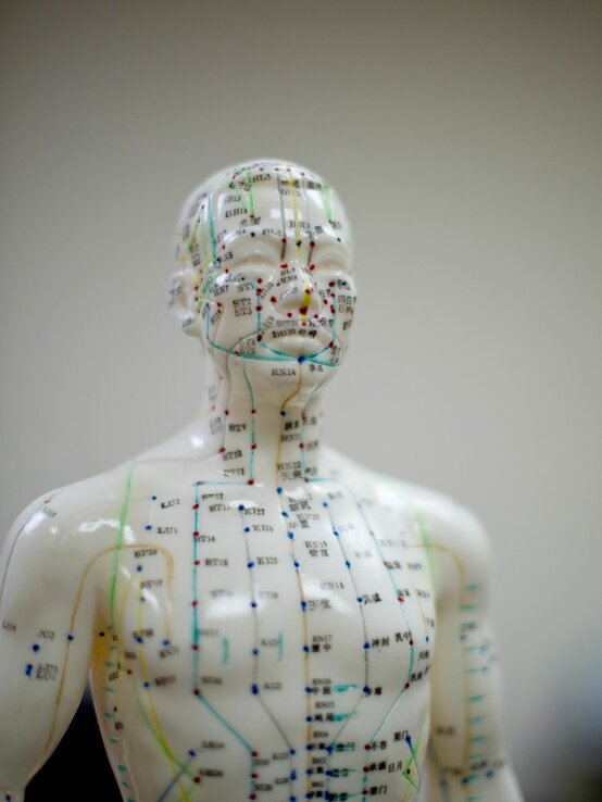 Akupunktur-Punkte im Oberkörper an einem Modell | © iStock/OceanFishing