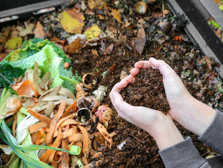 Jemand hält etwas Kompost in den Händen. Außerdem ist der Behälter mit dem Kompost zu sehen.