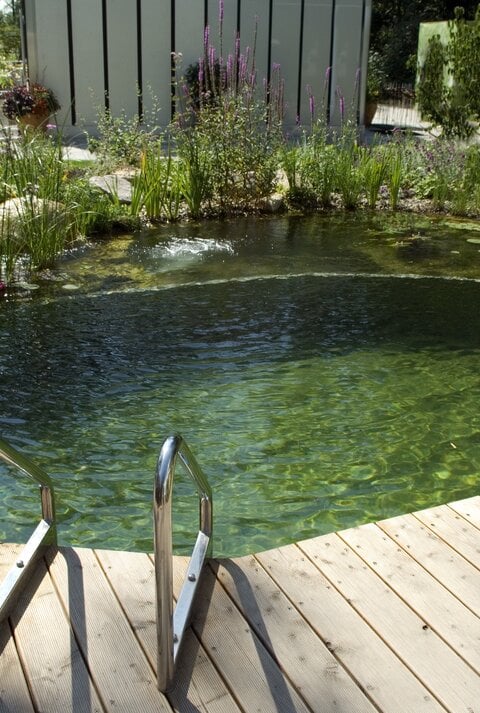 Das Bild zeigt einen kleinen Teich, in den eine Leiter reicht. Mehrere Pflanzen, wie z. B. Seerosen, finden sich in dem Teich. Die Umrandung bildet zum Teil ein Holzsteg.