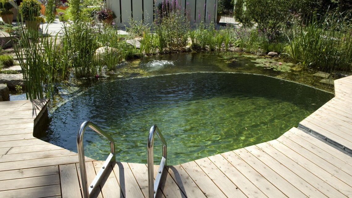 Das Bild zeigt einen kleinen Teich, in den eine Leiter reicht. Mehrere Pflanzen, wie z. B. Seerosen, finden sich in dem Teich. Die Umrandung bildet zum Teil ein Holzsteg.