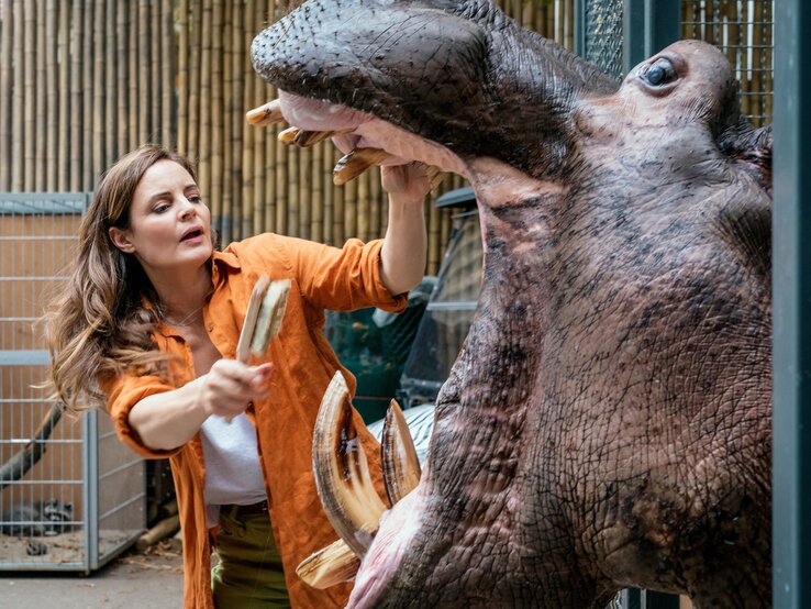 Ein Bild von Elisabeth Lanz  in orangefarbener Arbeitskleidung hinter den Kulissen bei "Tierärztin Dr. Mertens", die einem großen Hippopotamus, das seinen Mund weit geöffnet hat, vorsichtig ein Stück Obst zu füttern scheint. Die Szene spielt sich in einem zoologischen Umfeld ab, umgeben von einem Zaun und Bambus im Hintergrund..