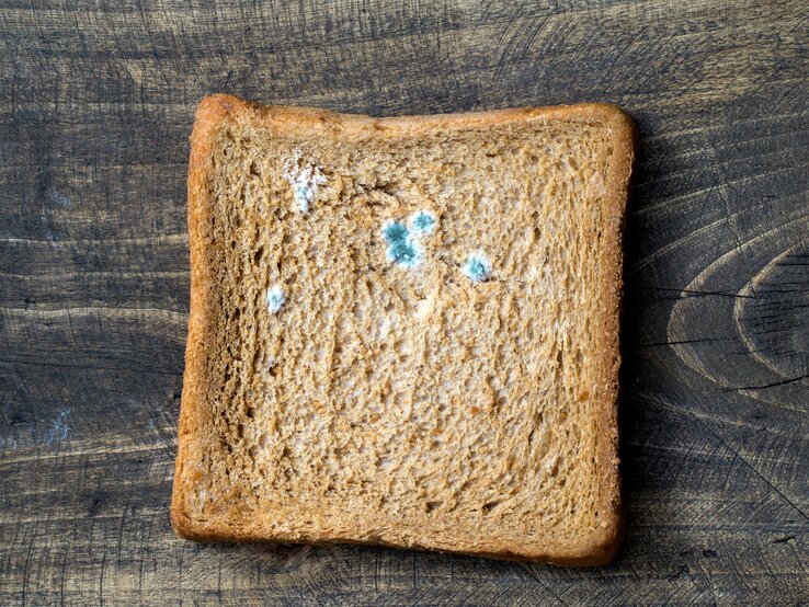 Ein verschimmeltes Toastbrot liegt auf einem Tisch 