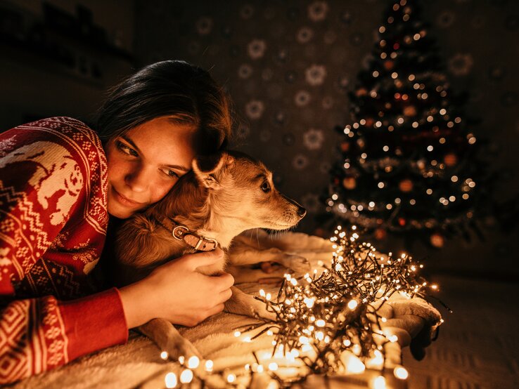 HundSilvester.jpg | © iStock/Constantinis