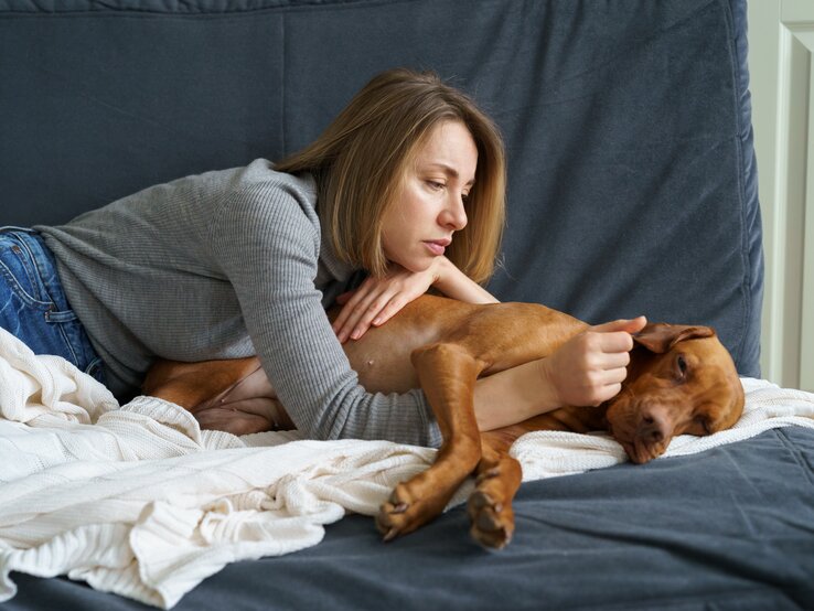 Ein schwacher Hund liegt träge auf dem Bett und sein Frauchen streichelt ihn.