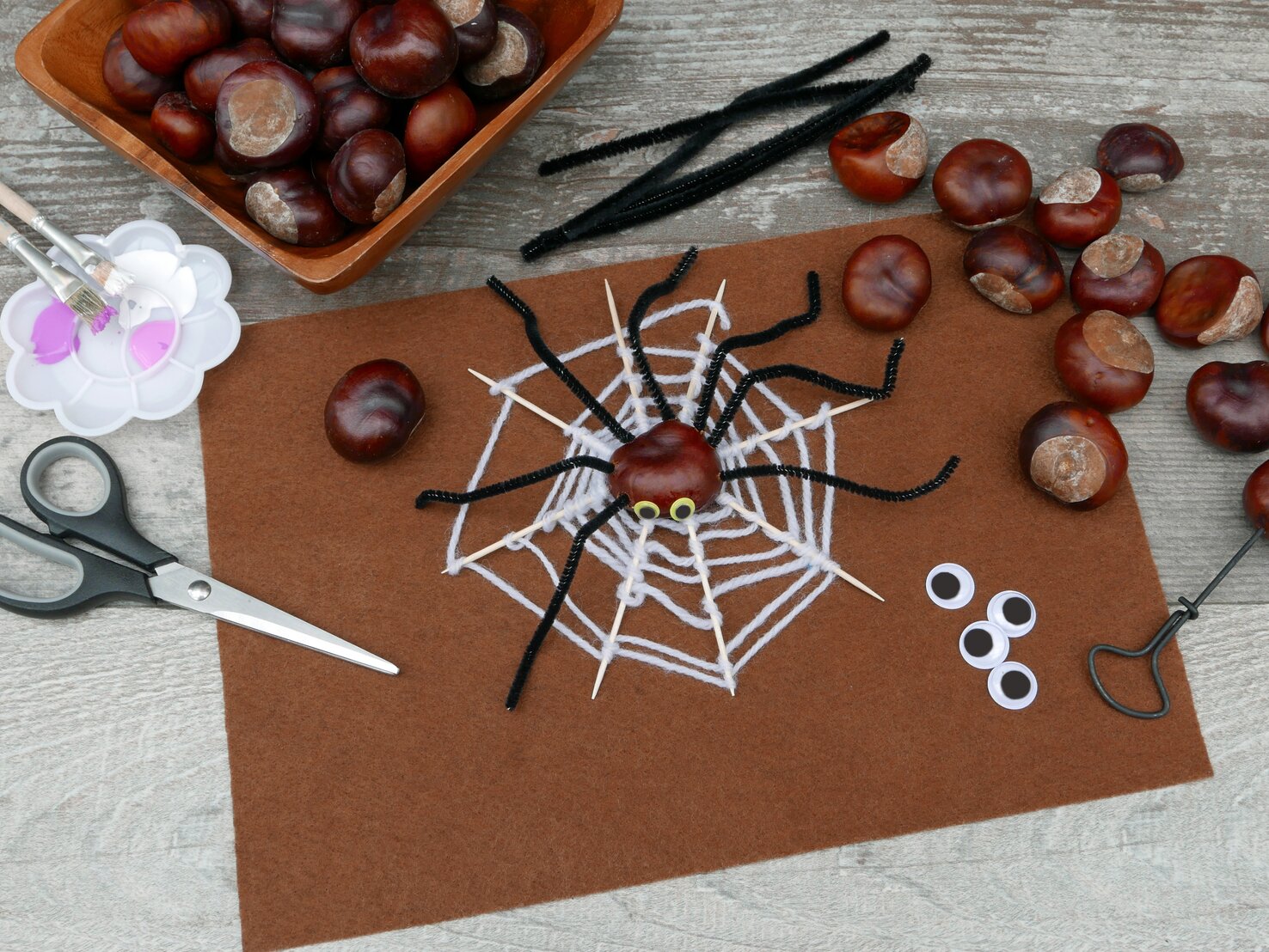 Kastanien trocknen im Herbst: Mit diesem Tipp geht es ganz einfach Kastanien trocknen im Herbst: Mit diesem Tipp geht es ganz einfach