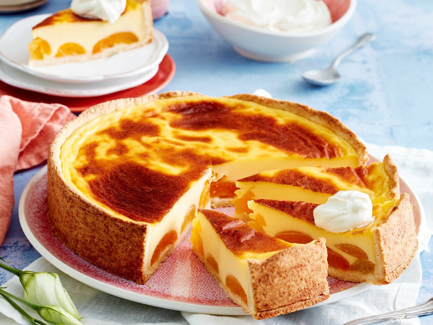 Die besten Aprikosenkuchen & -torten für den Sommer Die besten Aprikosenkuchen & -torten für den Sommer