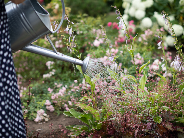 Frau gießt Blumenbeet mit Gießkanne.