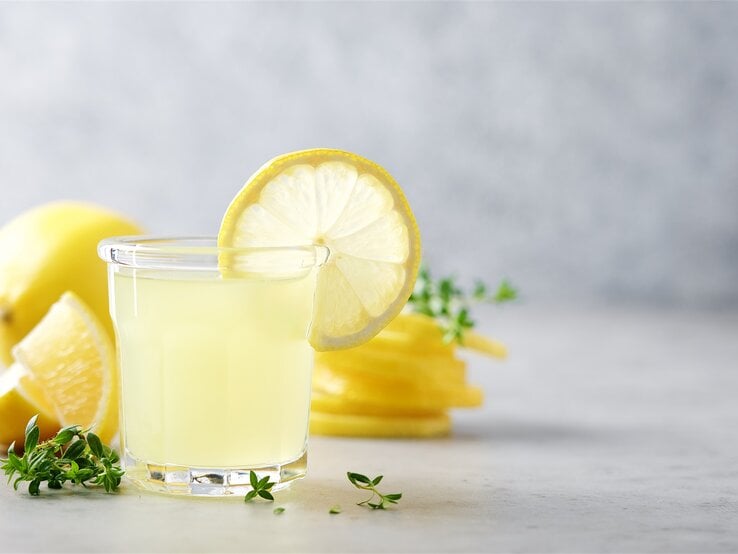 Ein Glas Limoncello Gin Fizz mt einer Zitronenscheibe garniertm, drumherum liegen frische Kräuter und Zitronen, teilweise angeschnitten.