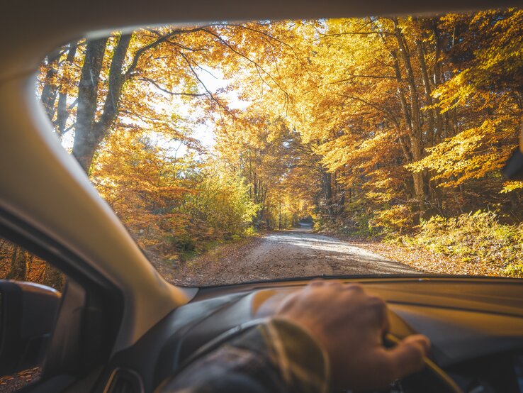 So schön sonnig ist es nicht immer im Herbst. Ist es kälter und nasser kann das Auto Probleme bereiten. Doch mit Alltagsprodukten haben Sie schnell die Lösung kostengünstig zur Hand. | © Getty Images/© Marco Bottigelli Auto im Herbst, Autofahren im Herbst, Autopflege im Herbst, Pkw im Herbst | © Getty Images/© Marco Bottigelli