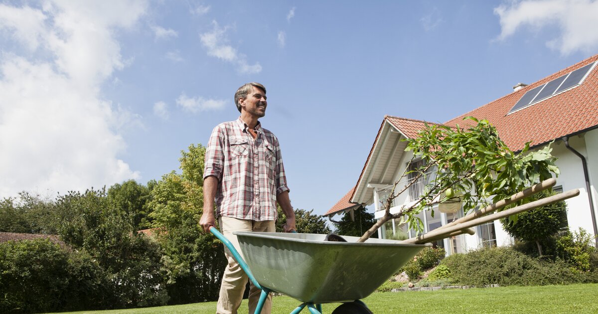 Geld sparen Gartenarbeiten kannst du von der Steuer absetzen!
