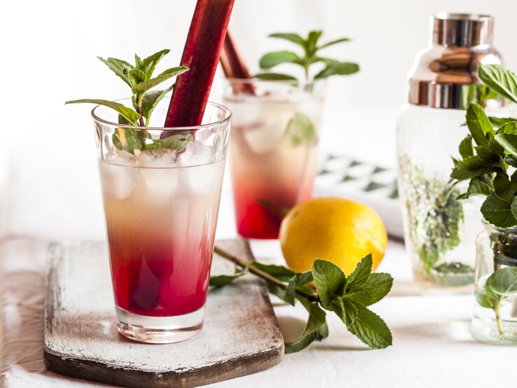 Rhabarber-Gin im Glas auf einem hellen Tisch mit allerlei Cocktaildeko drumherum.