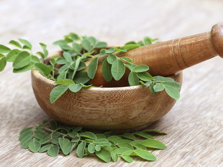 Die Blätter des Moringa-Baums werden frisch, getrocknet oder als Pulver eingenommen. | © iStock/bdspn