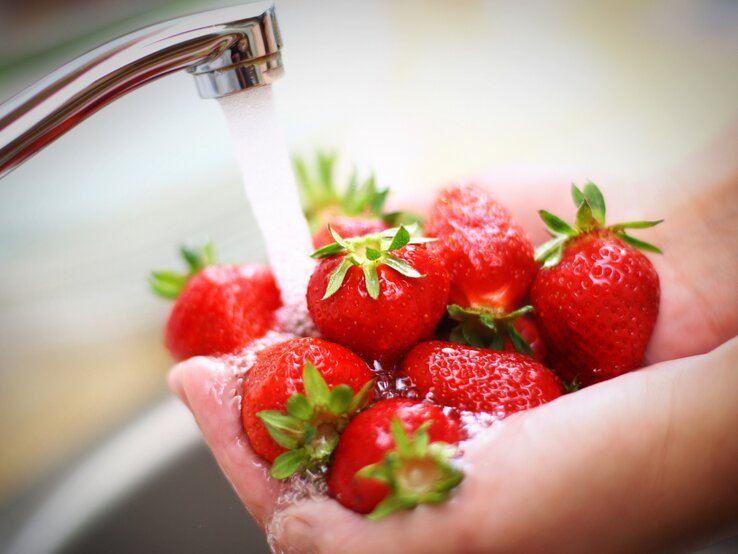 Erdbeeren unter dem Wasserhahn waschen. | © iStock-gilaxia