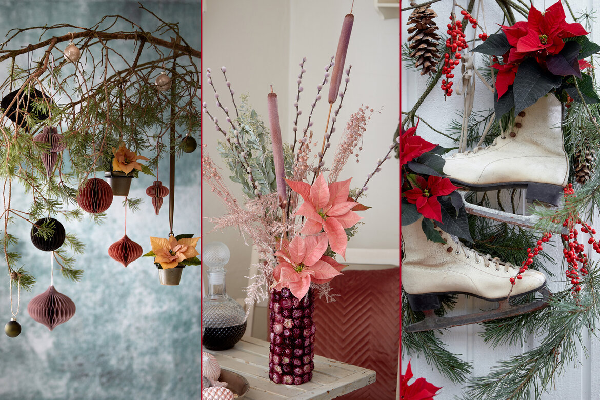 Tolle Deko-Ideen mit dem Klassiker Weihnachtsstern.