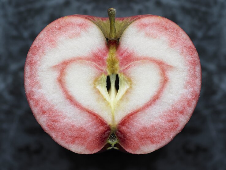 Der rote Apfel "Vampira" mit rotem Fruchtfleisch. | © Getty Images/ Lisbeth Hjort