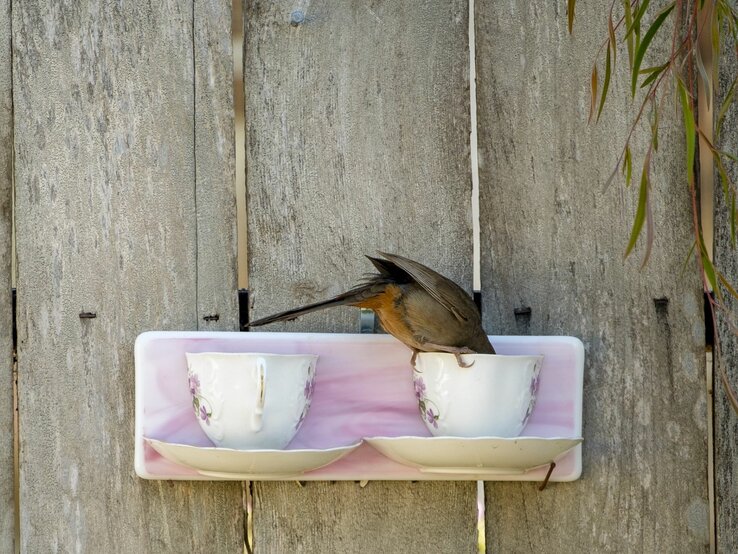Eine Vogeltränke an der Wand, aus der ein Vogel trinkt.