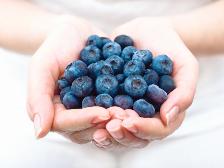 Zwei Frauenhände voller Heidelbeeren | © iStock/Kirbyphoto