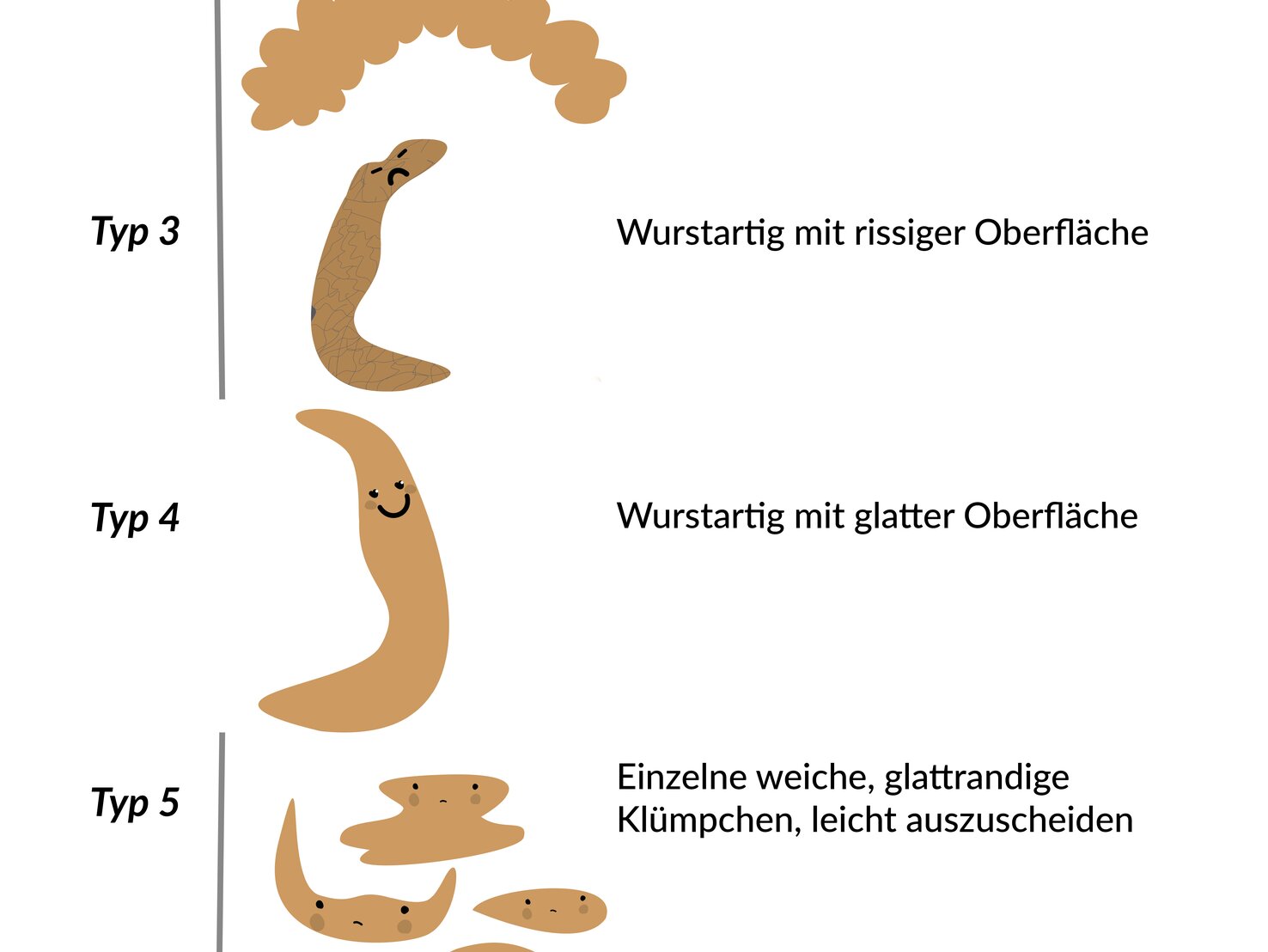 Regelmäßiger Stuhlgang 7 StuhlArten und ihre Bedeutung