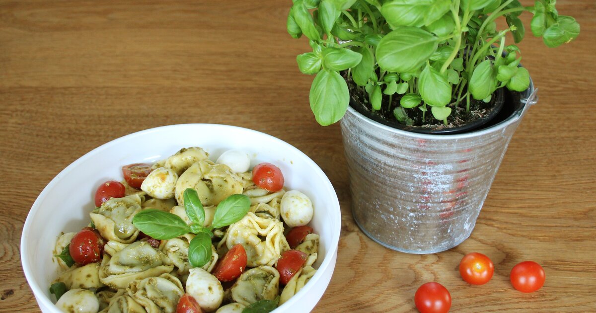 Italienischer Tortellinisalat mit Pesto: Fertig in 15 Minuten!