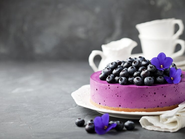 Lila Käsekuchen auf einem weißen Teller. 