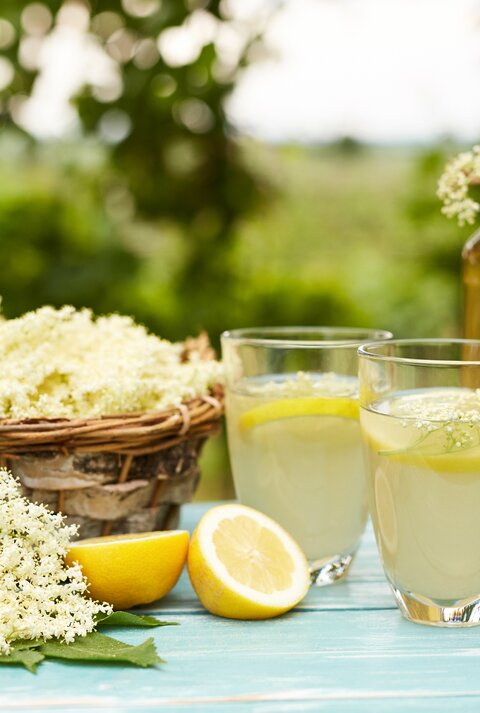 Ob in Wasser oder Sekt: Holunderblütensirup verleiht Getränken das besondere Etwas. 