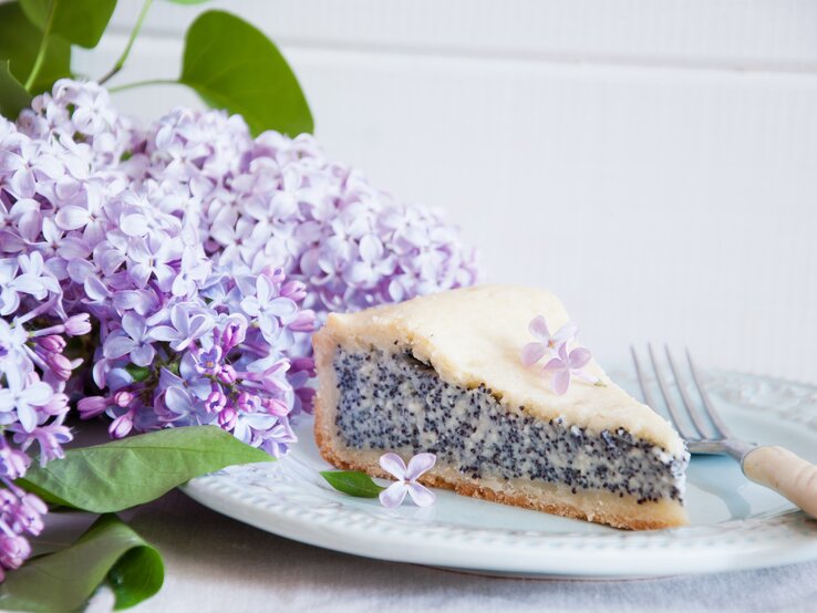 Thüringer Mohnkuchen auf weißem Teller. 