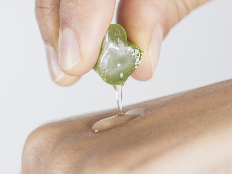 aloe vera auf hand.jpg | © iStock.com/simarik