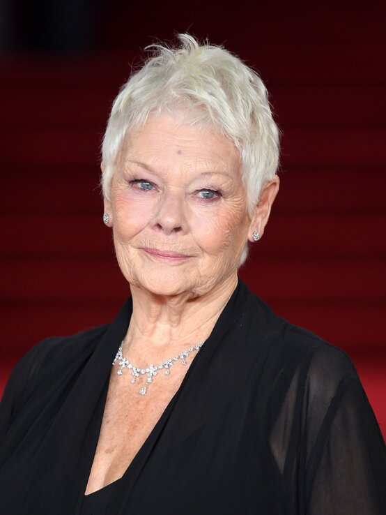 Judy Dench | © Karwai Tang/WireImage