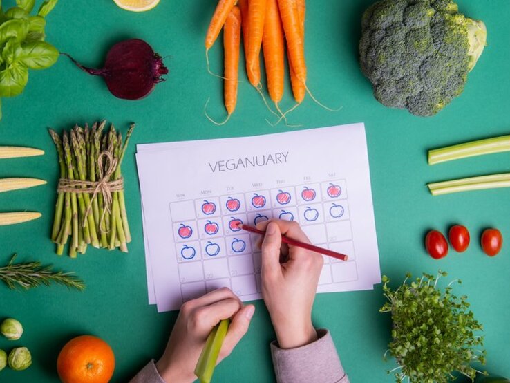 gqJpZM8FRYbpXVGnfaFwg6FozQIzoXFVoXfNA-g