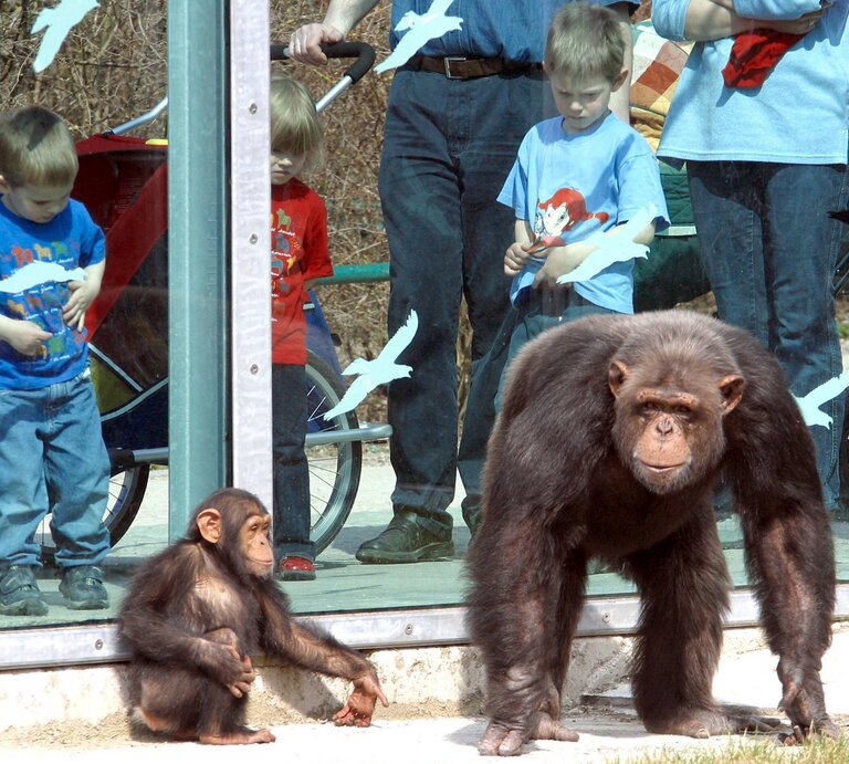 Zoo | © imago images / Reinhard Kurzendörfer