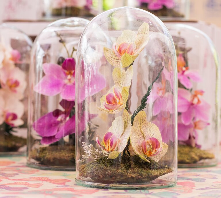 Mehrere Orchideen in einem Glas sind zu sehen. | © Shutterstock/AMMLERY
