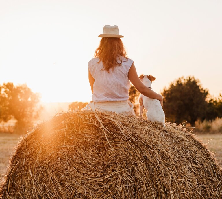 Frau und Hund sitzen auf einem Heuballen und genießen einen Sonnenuntergang auf einem Feld. | © Getty Images / Westend61