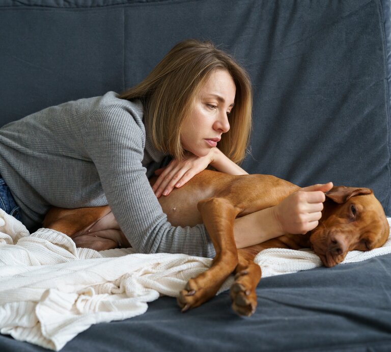 Ein schwacher Hund liegt träge auf dem Bett und sein Frauchen streichelt ihn. | © Shutterstock/DimaBerlin