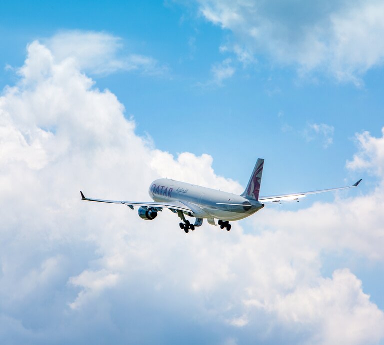 Ein Passagierflugzeug am Himmel | © shutterstock/Myroslava Bozhko