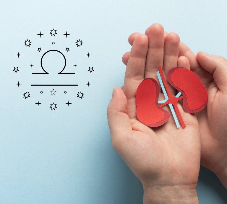 Das Bild zeigt zwei Hände, die ein Modell von roten Nieren aus Papier halten. Links daneben ist das astrologische Symbol für Waage (Libra) abgebildet, umgeben von kleinen Sternen. Der Hintergrund ist hellblau, was dem Bild eine beruhigende und klare Atmosphäre verleiht. | © Getty Images/ Elena Nechaeva und warmjuly via Canva.com [M]