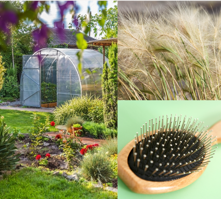 Kollage mit sonnigem Garten samt Glashaus und Blumenbeet, filigranem Federgras im Wind und Holzhaarbürste auf grünem Untergrund. | © Canva/Collage:bildderfrau.de