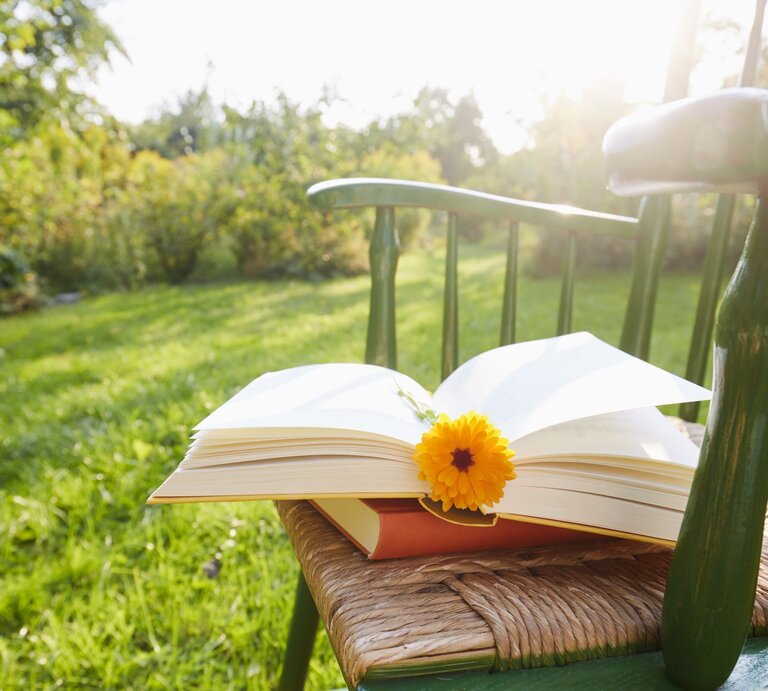 Ein aufgeschlagenes Buch mit einer gelben Blume liegt auf einem grünen Holzstuhl im sonnigen Garten. | © Getty Images/the_burtons