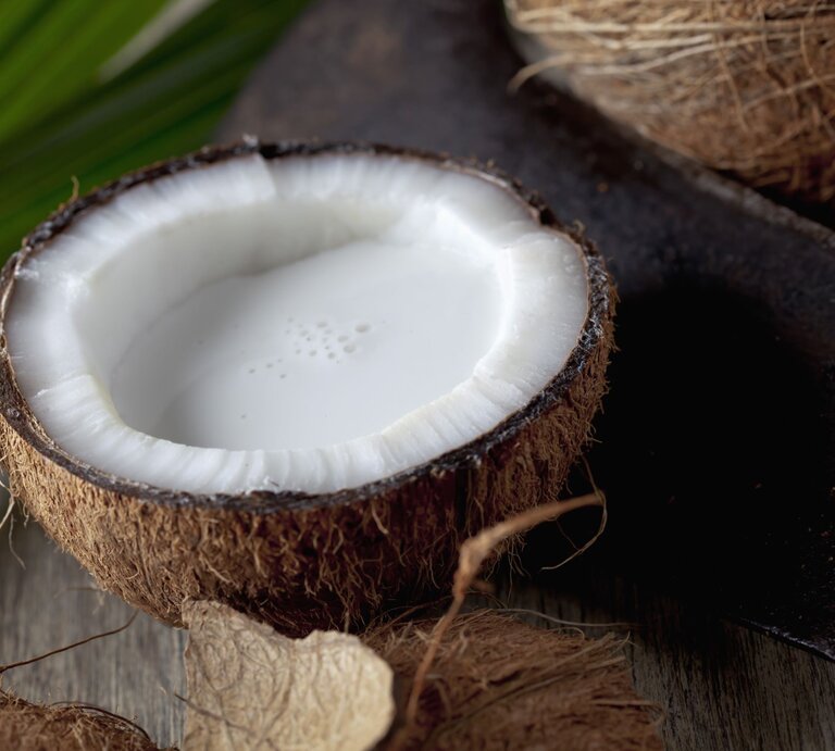 Geöffnete Kokosnuss mit frischer Kokosmilch auf einem Holztisch, im Hintergrund grüne Palmenblätter. | © Getty Images/Westend61