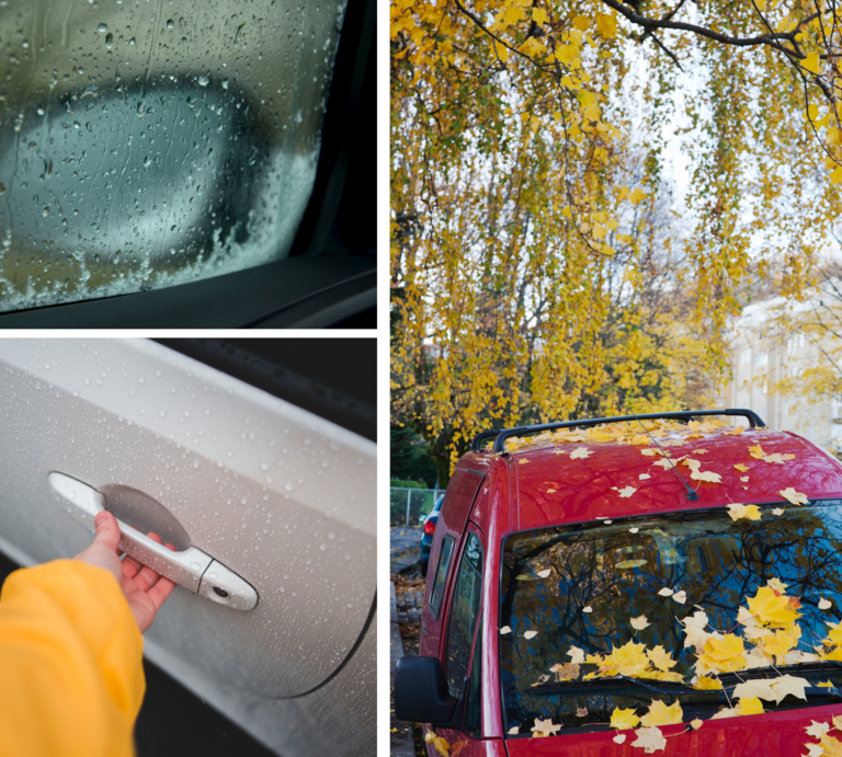 Dreier-Collage: Ein rotes Auto mit gelben Herbstblättern, eine Hand am nassen Türgriff und ein regennasser Autospiegel im Herbst. | © Canva [M]