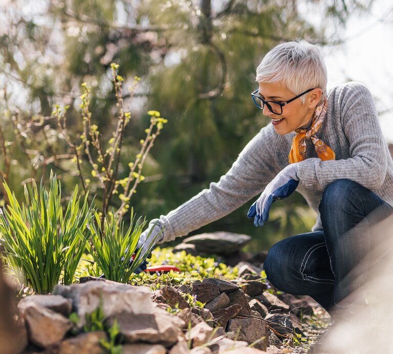 AdobeStock_428108123_2000x1500.jpg | © Adobe Stock/ bnenin