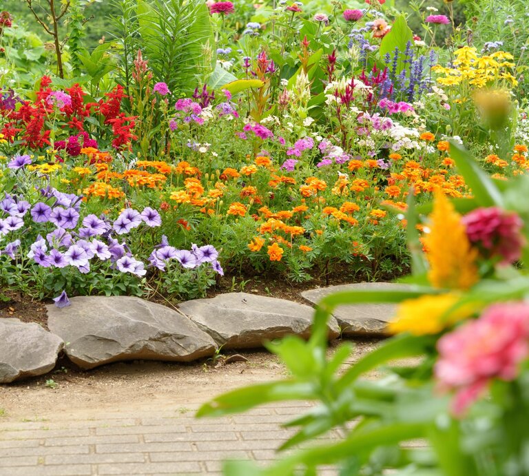 Üppiges Blumenbeet mit violetten, orangen und roten Blüten vor großen Steinen und grünem Sommerhintergrund. | © Shutterstock/nukopic