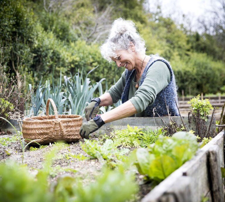 Zu sehen ist eine Frau, die an ihrem Hochbeet arbeitet | © GettyImages/JAG IMAGES