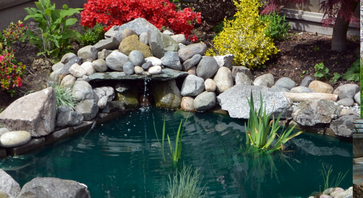 Drei unterschiedlich gestaltete Gartenteiche mit Steinen eingefasst, umgeben von Blumen, Rasen und asiatisch inspirierten Deko-Elementen.