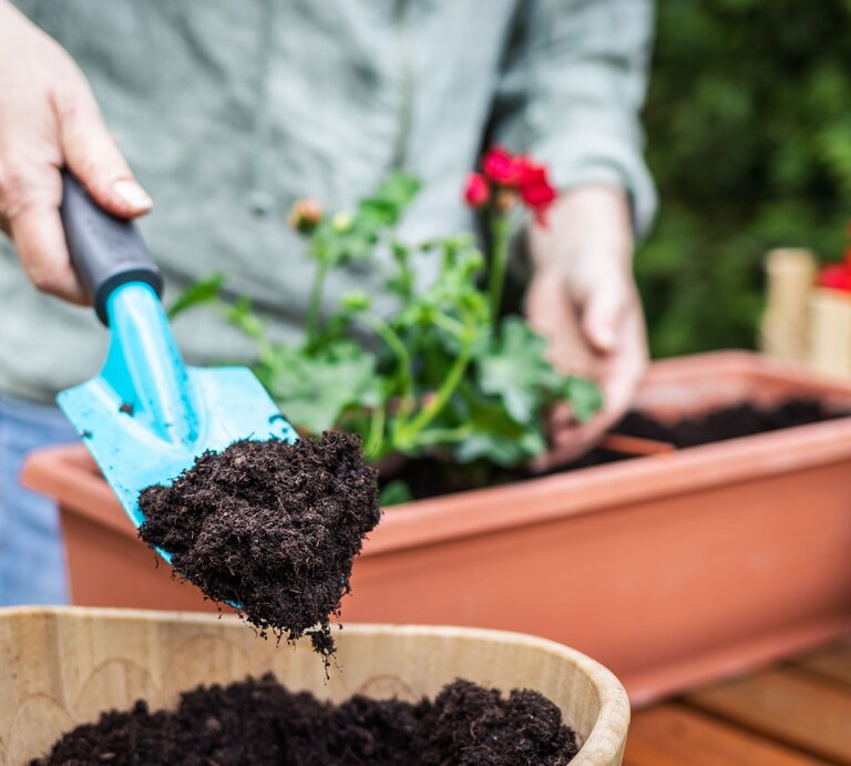 Person gibt Blumenerde mit einer blauen Gartenschaufel in ein Pflanzgefäß. Im Hintergrund ist ein Terrakottatopf mit einer Pflanze zu sehen, sie scheint im Garten oder auf einer Terrasse zu arbeiten. | © Adobe Stock / encierro