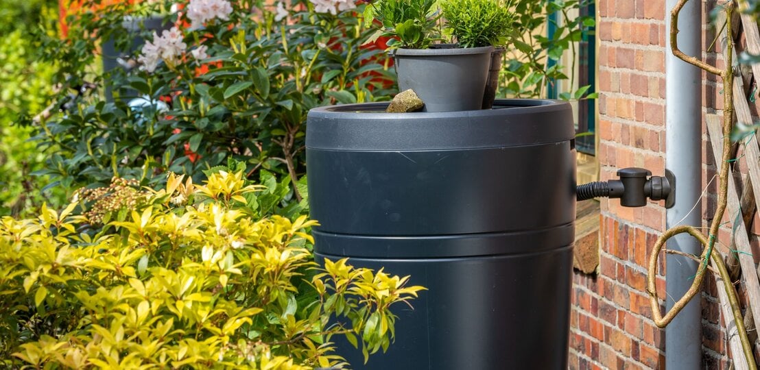 Graue Regentonne mit seitlichem Anschlussrohr steht an einer Hauswand, oben darauf Blumentöpfe mit bunten Pflanzen, umgeben von Sträuchern im Garten. | © Shuttertock/Milos Ruzicka