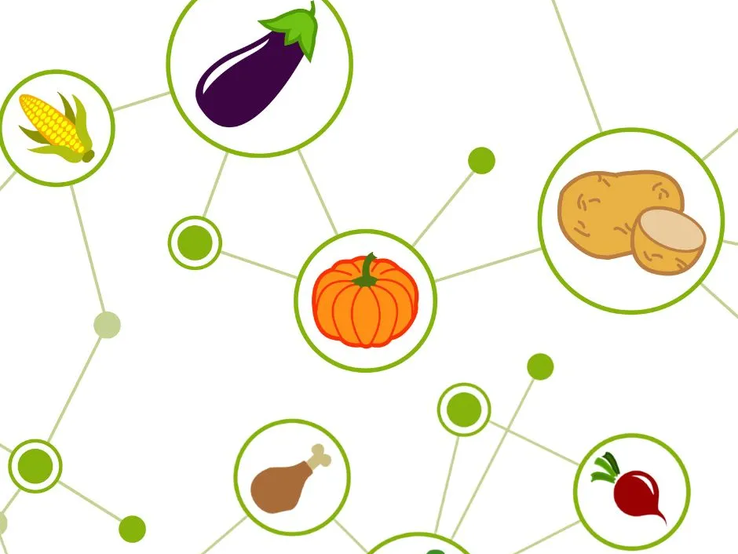 Grafik mit verschiedenen Symbolen für Lebensmittel, die durch grüne Linien verbunden sind. Zu sehen sind Icons für Mais, Aubergine, Kürbis, Kartoffeln, Hähnchenkeule, Paprika und rote Beete, in grünen Kreisen auf weißem Hintergrund.