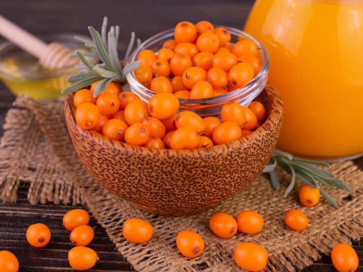 Schale mit frischen Sanddornbeeren und Sanddornsaft – eines der vitamin-C-reichsten Lebensmittel, perfekt für Immunsystem und Haut. | © Getty Images/ Olivka888 via Canva.com